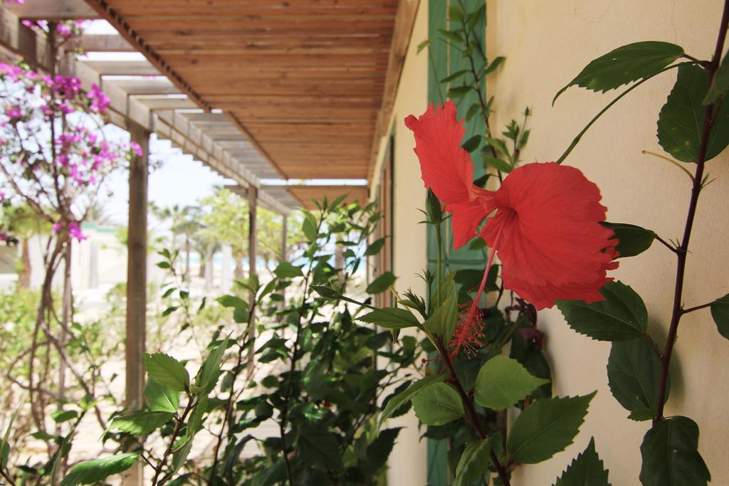 Vilas Praia Chaves Rabil Exterior photo