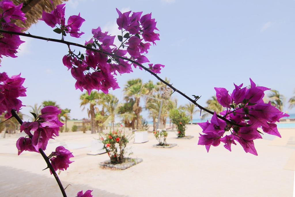 Vilas Praia Chaves Rabil Exterior photo